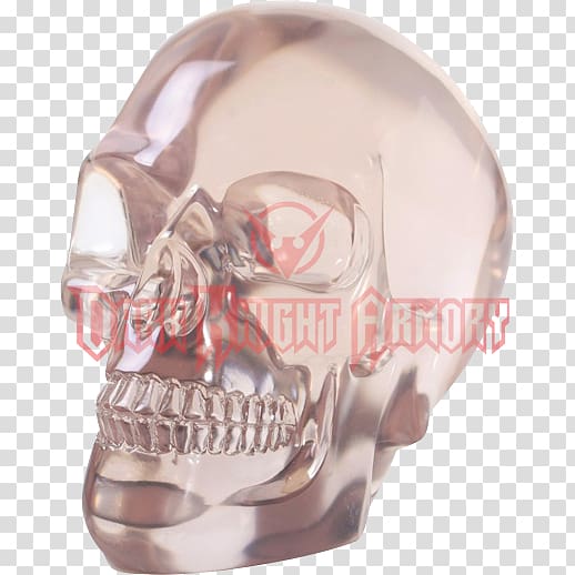 Human skull symbolism Human skeleton Head, skull transparent background PNG clipart