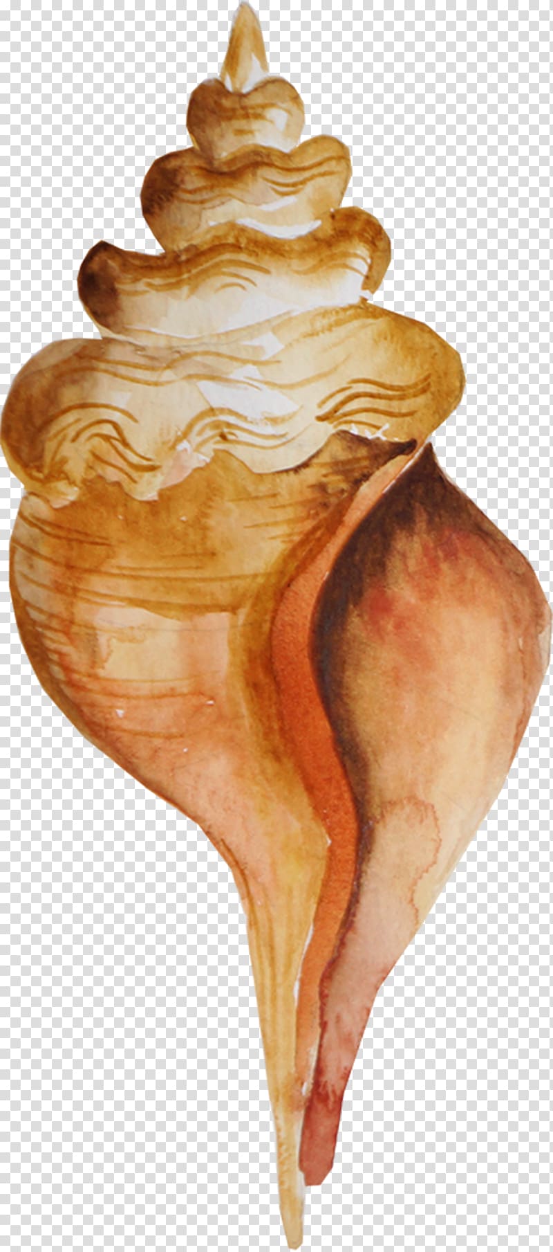 brown conch illustration, Brown conch transparent background PNG clipart