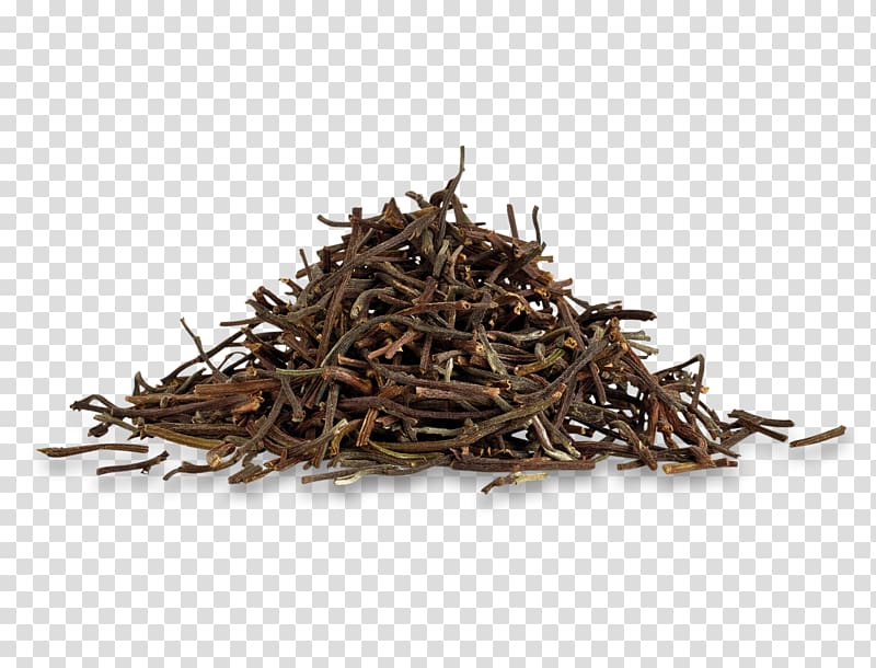 Sencha Keemun Assam tea Darjeeling tea Lapsang souchong, Antler transparent background PNG clipart