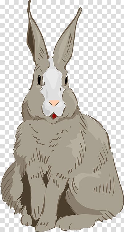 Hare Cottontail rabbit graphics, jackrabbit ears transparent background PNG clipart