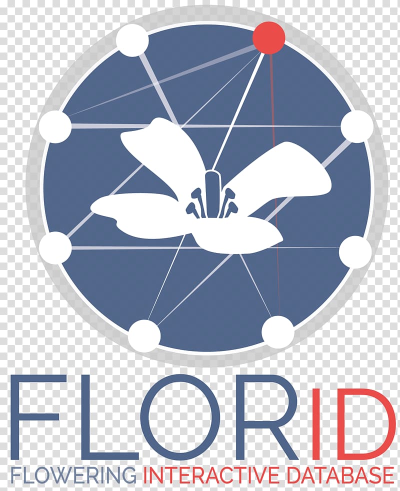 Message Florida Politics Mobile Phones, Vernalization transparent background PNG clipart