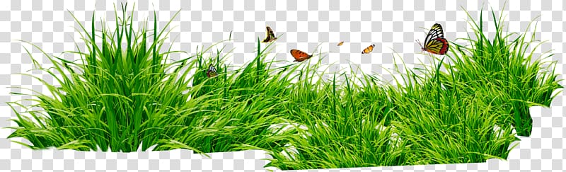 green grass and butterflies, Computer file, grass , green grass transparent background PNG clipart