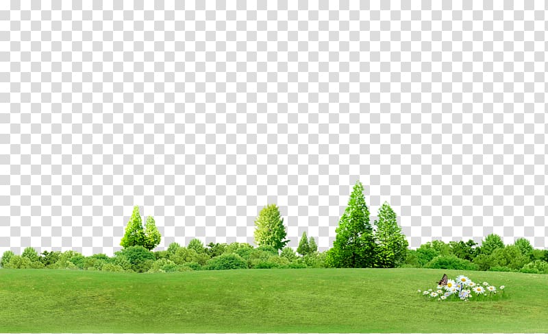 green grassfield, Chroma key Tree Computer file, Trees background transparent background PNG clipart