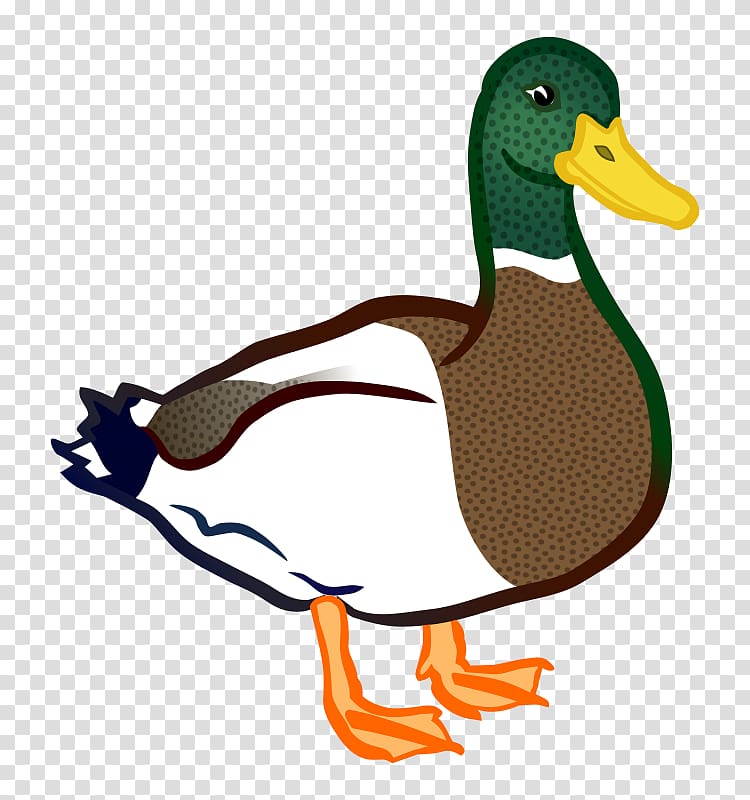 Baby Ducks Mallard , duck cartoon transparent background PNG clipart
