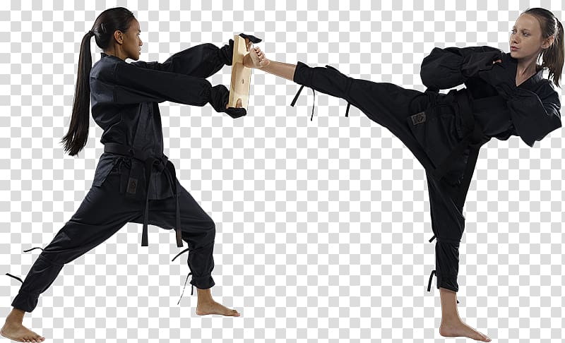 Karate transparent background PNG clipart