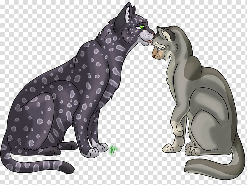 Cat Bear July 16 Give Me Love Terrestrial animal, Cat transparent background PNG clipart