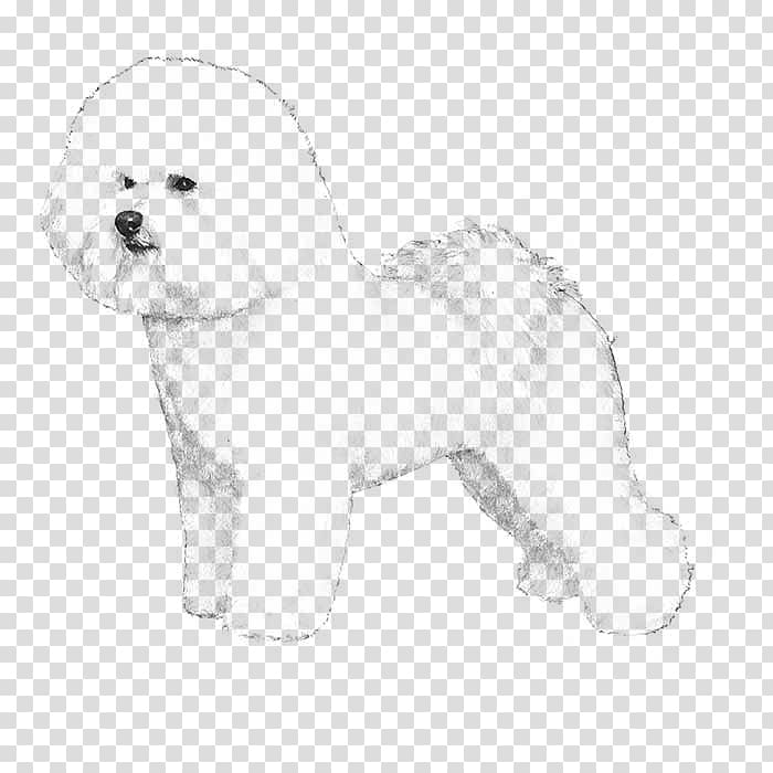 Bichon Frise Chinese Crested Dog Samoyed dog Papillon dog Puppy, puppy transparent background PNG clipart