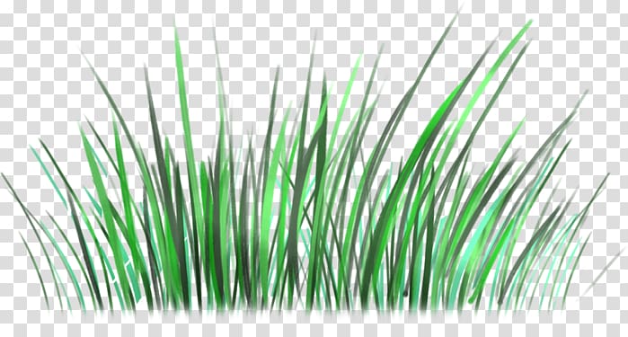 Green Grasses Line, love the natural environment transparent background PNG clipart