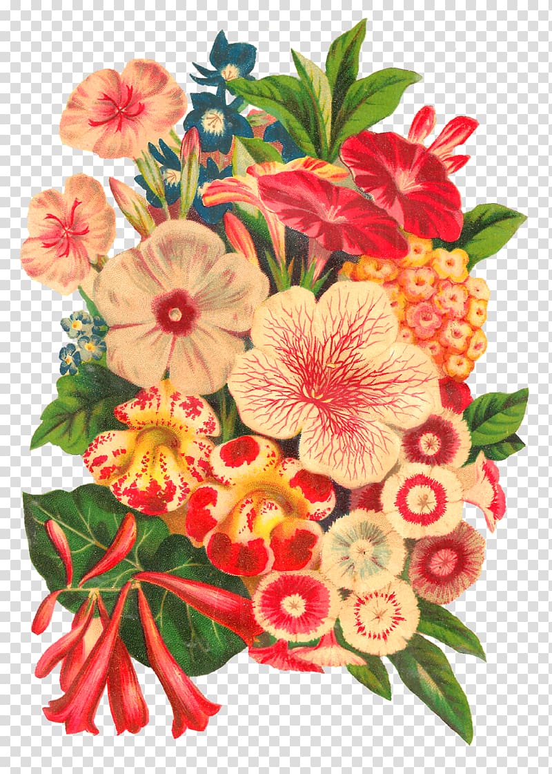 Flower bouquet Floral design Cut flowers Botanical illustration, botanical flowers transparent background PNG clipart