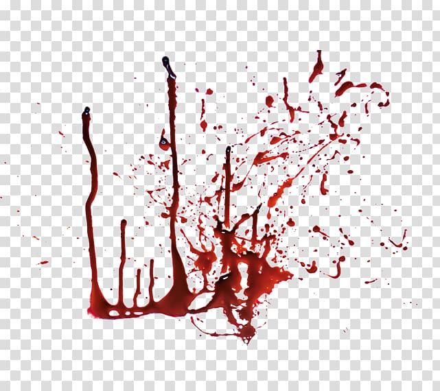 Bloodstain Pattern Analysis Transparent Background Png Cliparts