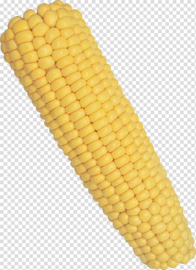 Maize Popcorn Corn kernel Sweet corn, Corn transparent background PNG clipart