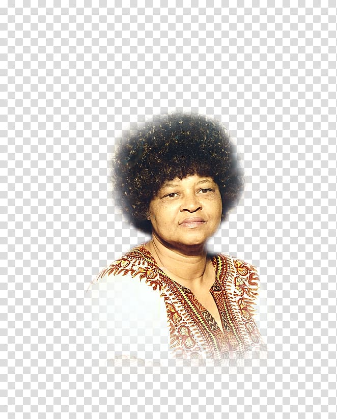 Afro Jheri curl Headgear Wig Black hair, others transparent background PNG clipart