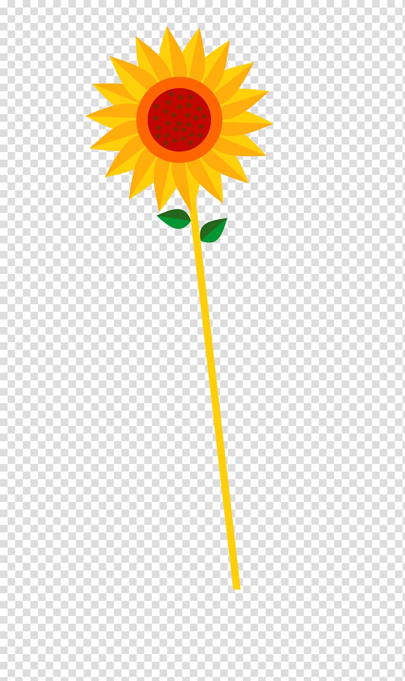 Common sunflower Euclidean , sunflower transparent background PNG clipart