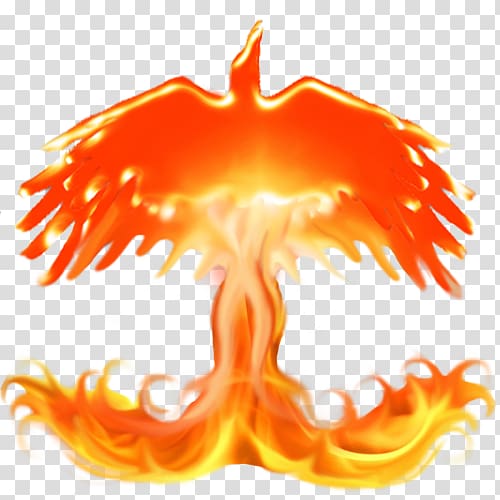 Fire Flame Logo Wiki, Hawk transparent background PNG clipart