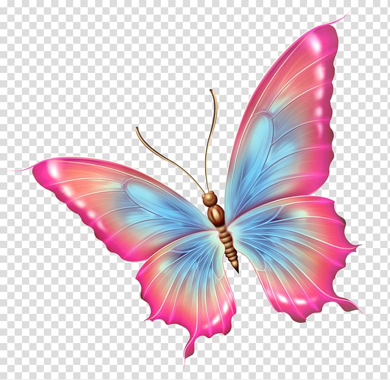 pink and blue butterfly art, Butterfly Insect , dragonfly transparent background PNG clipart