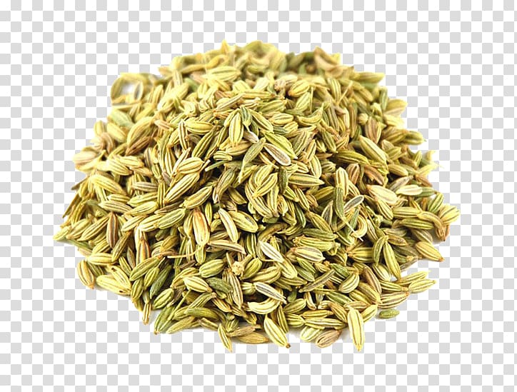 Organic food Fennel Anise Herb Spice, Fennel seeds transparent background PNG clipart
