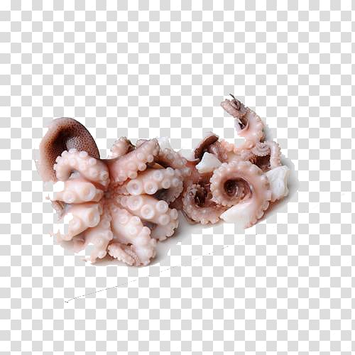 Octopus Squid Claw , Squid claw clasp Free transparent background PNG clipart