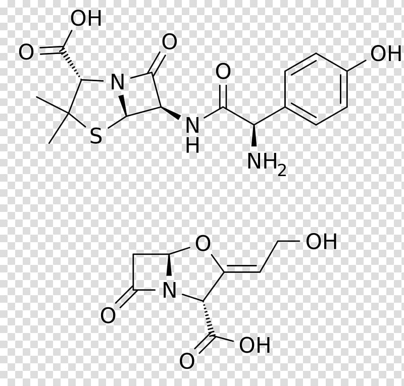 Ampicillin Amoxicillin/clavulanic acid Sigma-Aldrich, elimination of blood germs transparent background PNG clipart