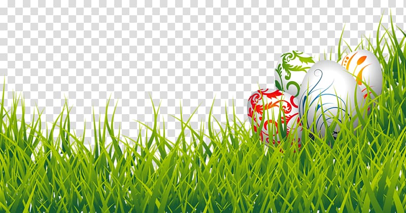 Easter Bunny Easter egg , Easter Eggs and Grass , four assorted-color eggs on grass transparent background PNG clipart