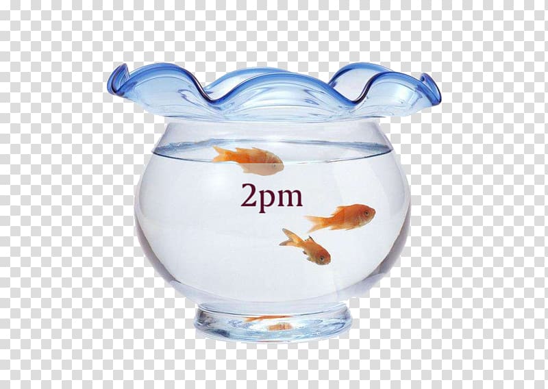 Aquarium Goldfish Chengdu Cove Technology Co.,Ltd Pet, fish transparent background PNG clipart