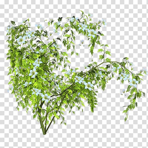 Shrub Digital Tree , tree transparent background PNG clipart