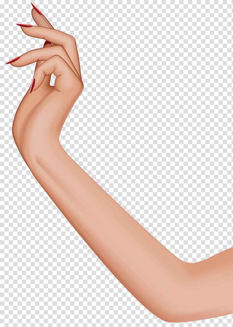 Hand Arm Human leg , female leg transparent background PNG clipart