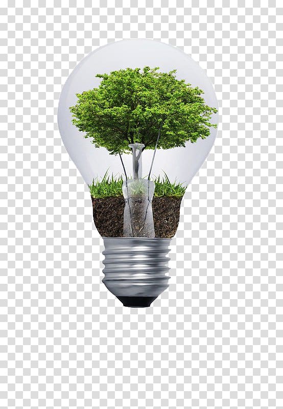 green leafed tree in bulb, Natural environment Environmental degradation Environmental consulting Sustainability Incandescent light bulb, A light bulb transparent background PNG clipart