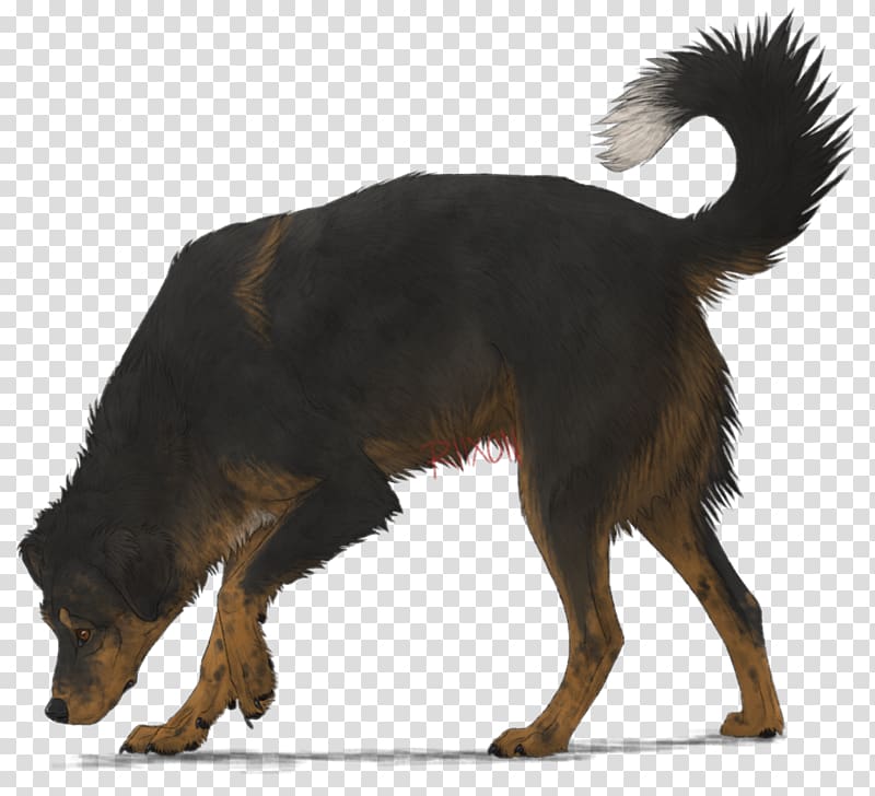 Basset Hound Hyena Pet Canidae Dog breed, Giant transparent background PNG clipart