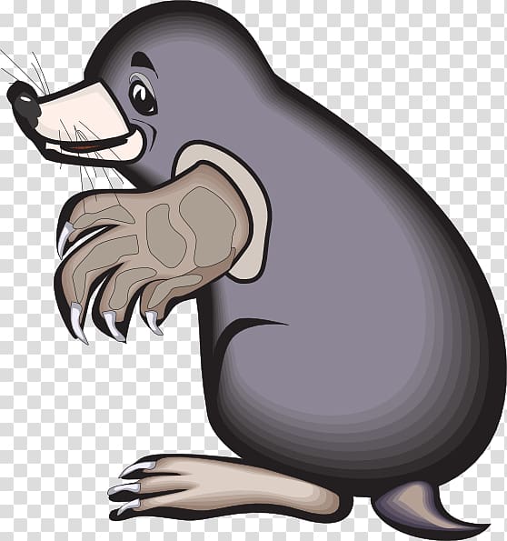 Mole Cartoon , Mole transparent background PNG clipart