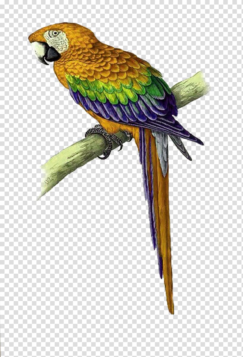 Parrot Bird Cross-stitch Macaw Pattern, Yellow simple parrot decorative pattern transparent background PNG clipart