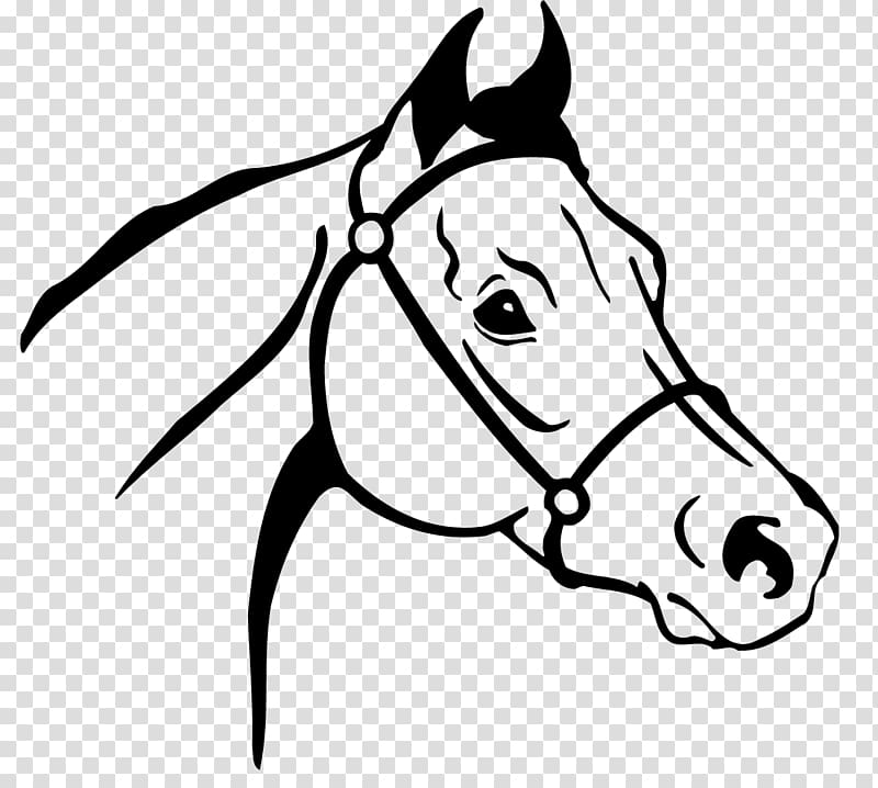 Arabian horse Thoroughbred Drawing , horsehead transparent background PNG clipart