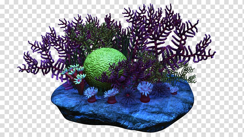 green and purple coral reel , Coral reef , coral transparent background PNG clipart