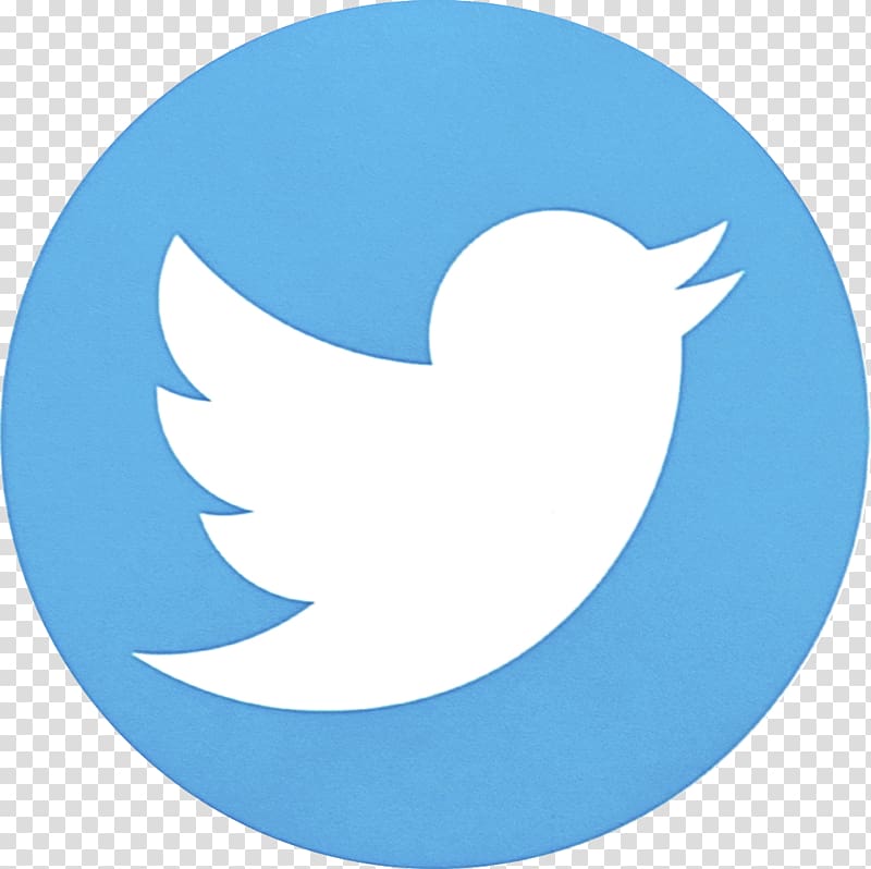 Computer Icons Desktop Social media Logo, twitter transparent background PNG clipart