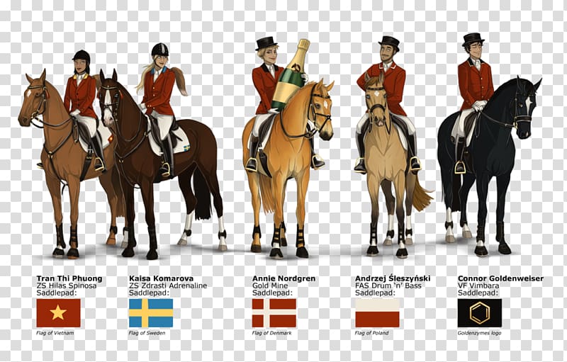 Horse Cavalry Equestrian Stallion English riding, horse transparent background PNG clipart