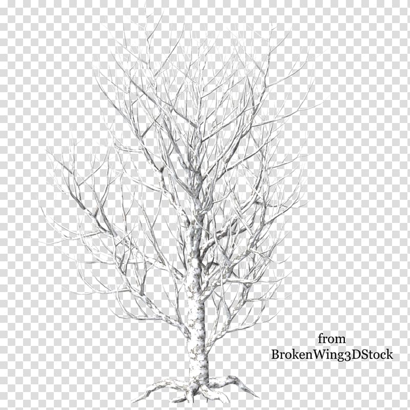 Tree Branch Winter , snow tree transparent background PNG clipart