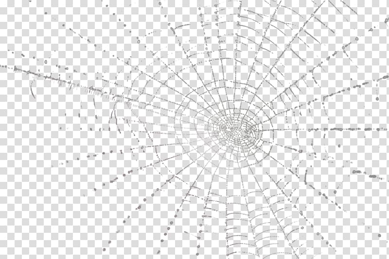 Drawing Monochrome Black and white, spider web transparent background PNG clipart