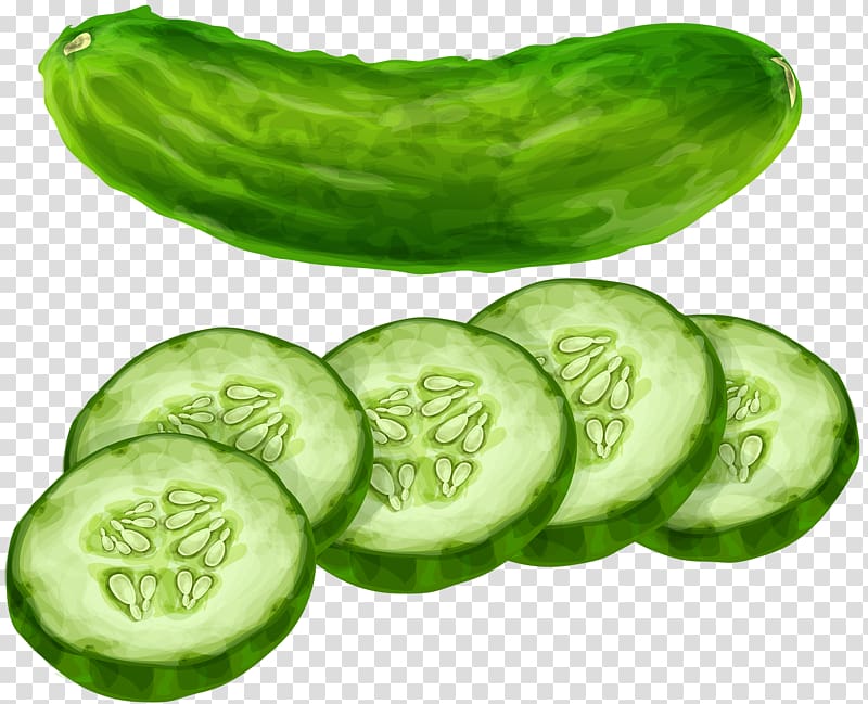 Cucumber Vegetable , Green cucumber transparent background PNG clipart