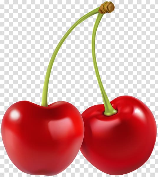 Sour Cherry Fruit , cherry transparent background PNG clipart