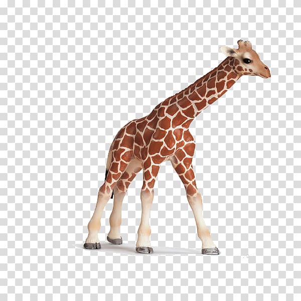 Giraffe Schleich Toy Amazon.com Calf, giraffe transparent background PNG clipart