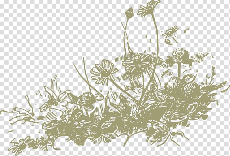 Wildflower , wild flowers transparent background PNG clipart