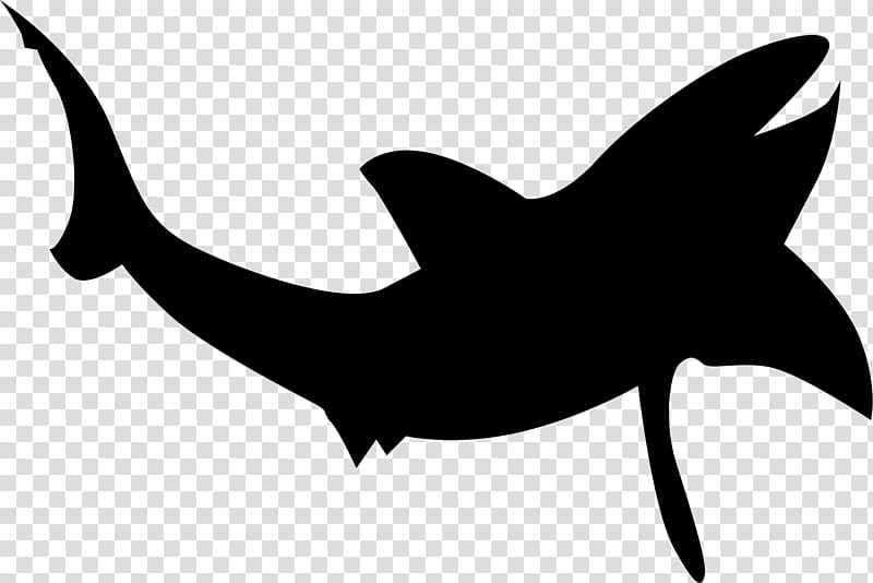 Shark Silhouette , The beluga whale transparent background PNG clipart