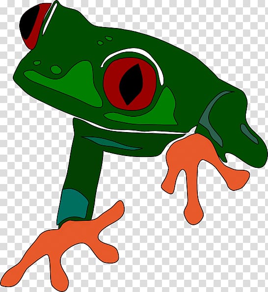 Red-eyed tree frog The Tree Frog , amphibian transparent background PNG clipart