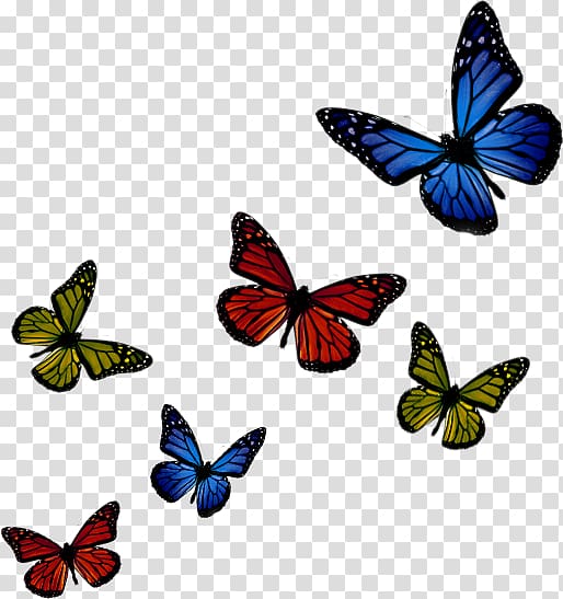 Monarch butterfly Green 123RF (USA & Canada) Blue, butterfly transparent background PNG clipart