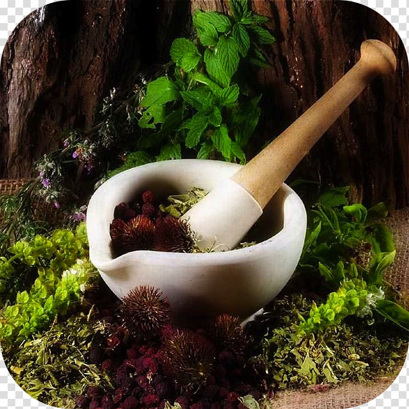 Herbalism Medicine Naturopathy Mortar and pestle, ayurveda transparent background PNG clipart