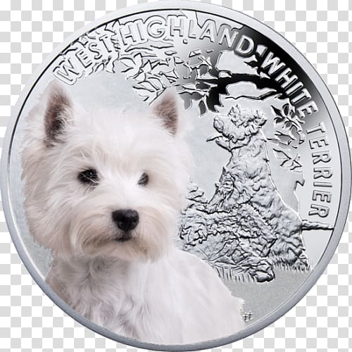 West Highland White Terrier Cairn Terrier Norwich Terrier Dog breed Yorkshire Terrier, West Highland Terrier transparent background PNG clipart