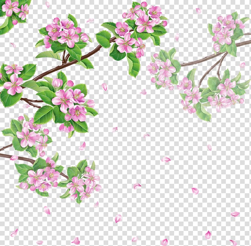 Spring Flower Cherry blossom, Cherry blossoms transparent background PNG clipart