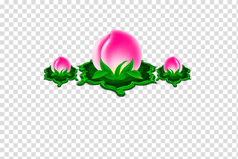 Longevity peach Saturn Peach Icon, Peach St.,peach transparent background PNG clipart