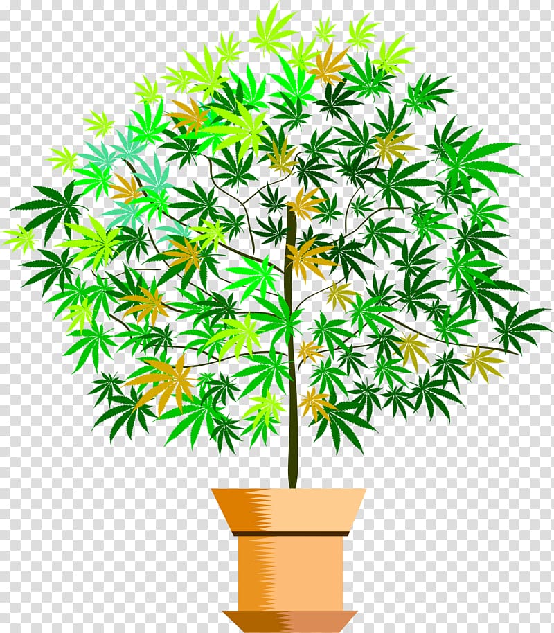 Plant Flowerpot , potted plants transparent background PNG clipart