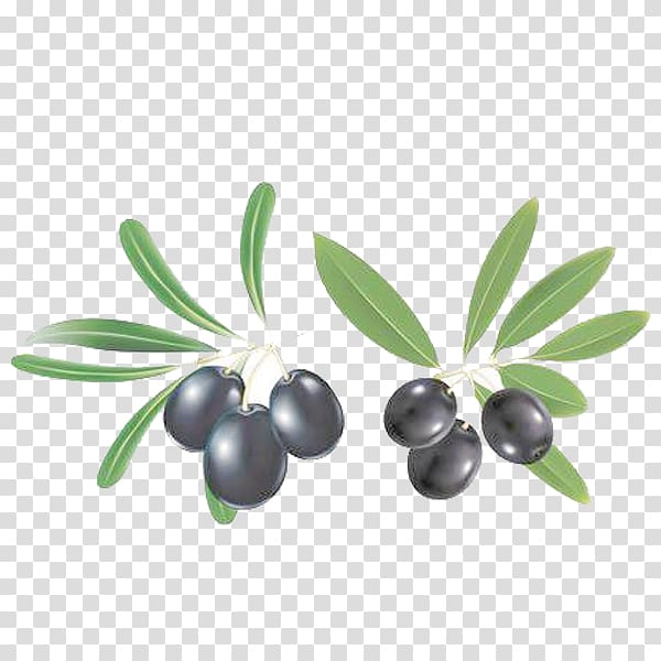 Mediterranean cuisine Olive oil , Free fruit blueberry pull material transparent background PNG clipart