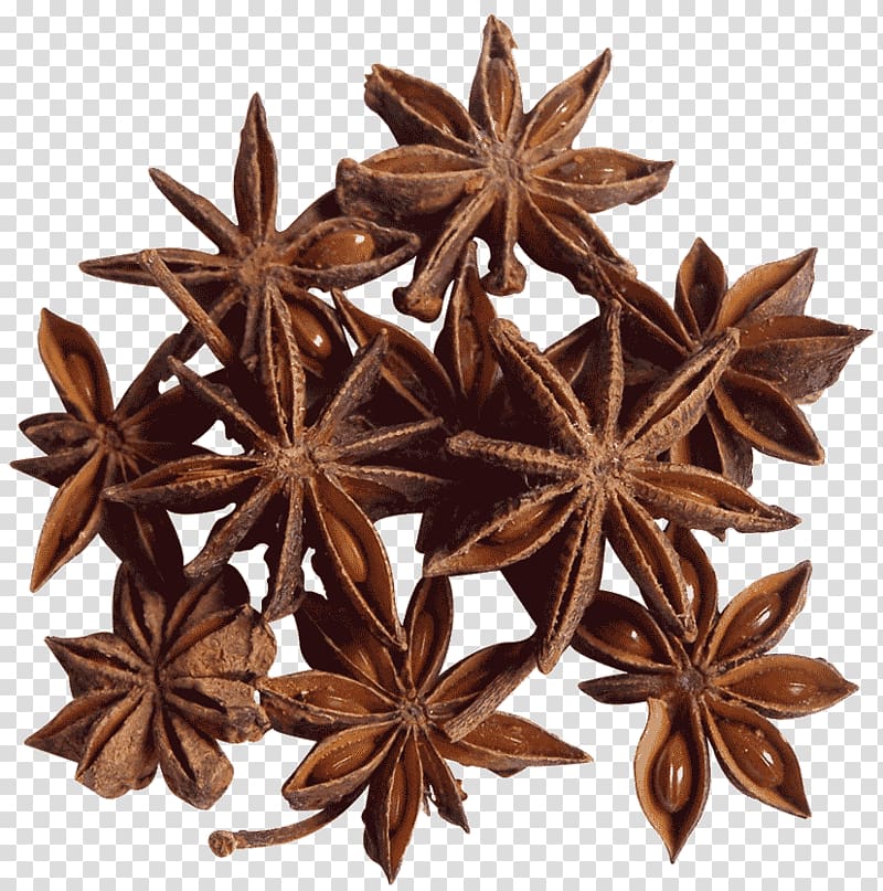 star anise transparent background PNG clipart